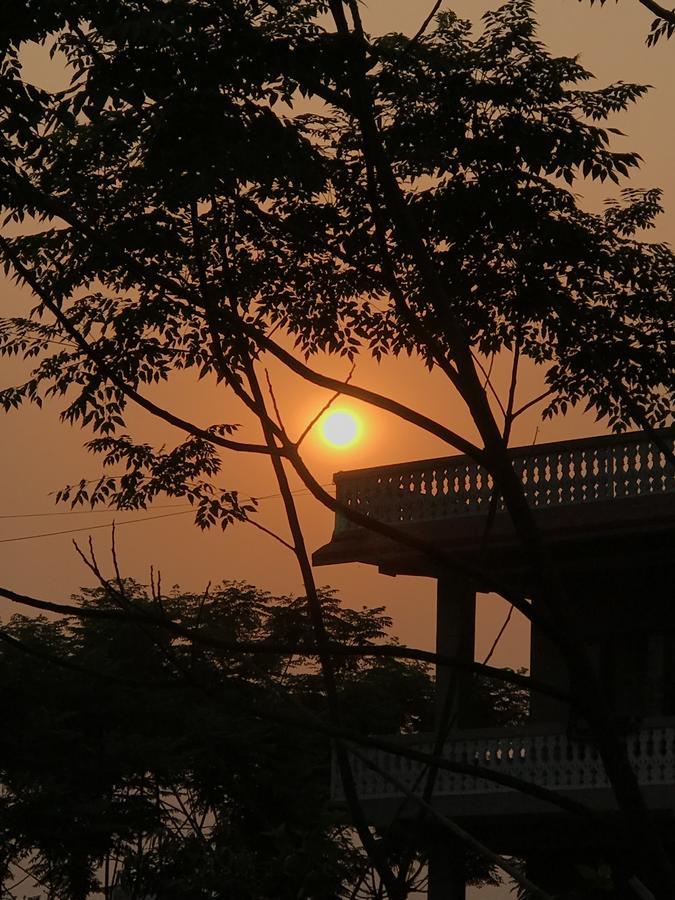 Hotel Tree Tops Sauraha Extérieur photo